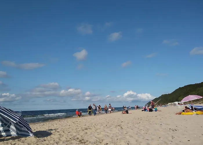 In Mrze Yno By Sandy Beaches *